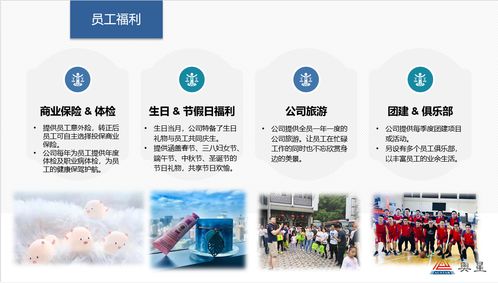 奧星集團(tuán)2020年招生簡(jiǎn)章與專業(yè)輔助服務(wù)說(shuō)明